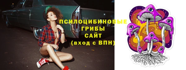 дживик Майский