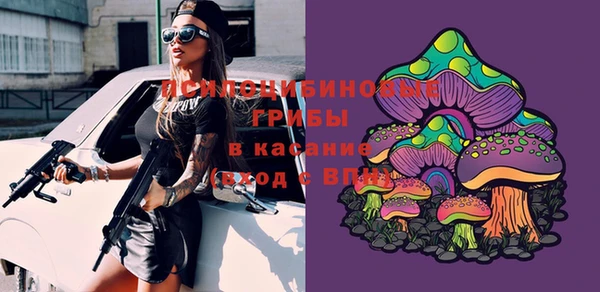 spice Магадан
